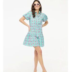 J CREW Green Pink Floral Bubble Dress Size 4P NEW NWT